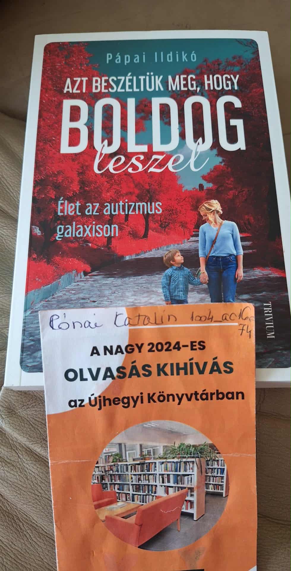 Írás, blogírás, meseírás. Baba-báb, figurakészítés. Pápai Ildi könyve és a könyvtári felhívás